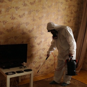 Уничтожение тараканов вызов на дом.  Москва