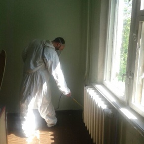 Вывести тараканов в квартире в Москве