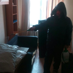 Выведение тараканов в квартире с гарантией в Москве