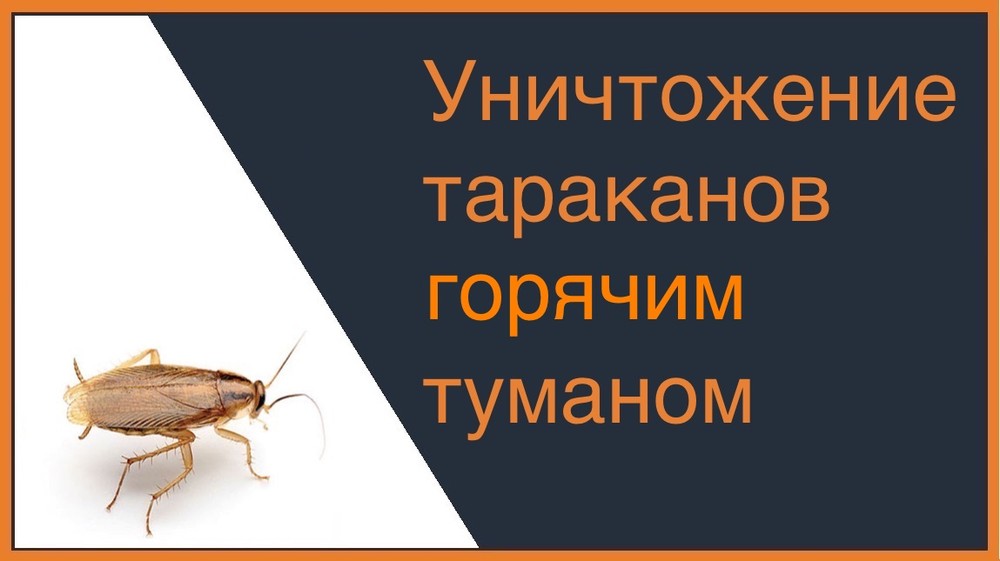 Уничтожение тараканов горячим туманом в Москве