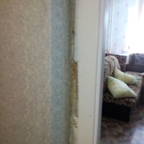 Уничтожение клопов в квартире с гарантией  Москва