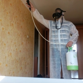 Уничтожение тараканов в квартире – цена в Москве